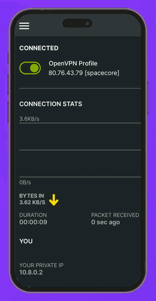 Трафик через туннель OpenVPN (смартфон)